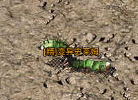 《原始传奇》职业&地图资料5501.png